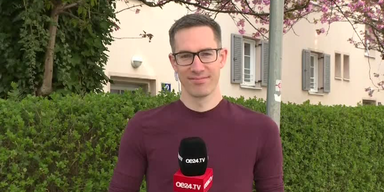 dankl itv.png