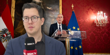 david politik.png