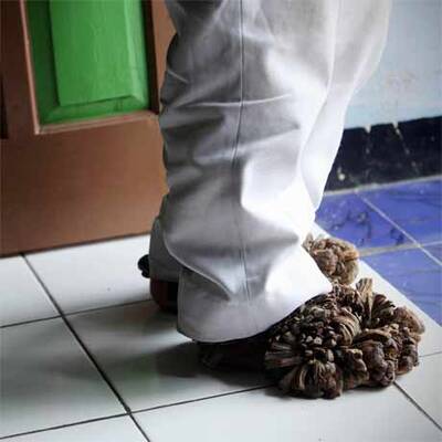 Baum-Mann Dede Kosiwara