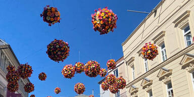 Fr&uuml;hlingsdeko versetzt Welser in Panik