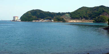 Delfin-Gemetzel neben Freizeit-Park