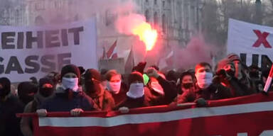 40.000 bei Corona-Demo in Wiener City