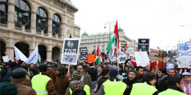 demo_wien