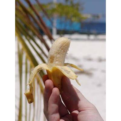 Die besten Urlaubsfotos