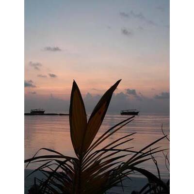 Die romantischsten Fotos