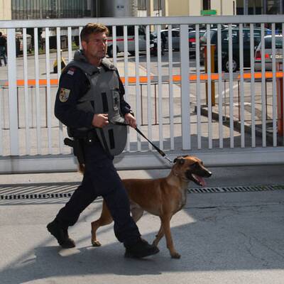 Täter wird von Cobra überwältigt