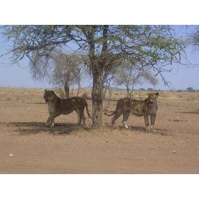 Die neuesten Urlaubsfotos