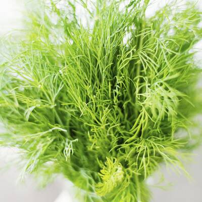 Beifuß regt die Durchblutung an