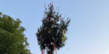 Maibaum