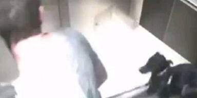 Firma feuert brutalen Tierquäler