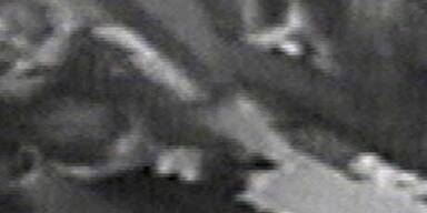 Überwachungskamera zeigt Dodi beim Ringkauf