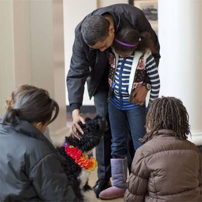 Osterfreuden in Washington