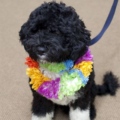 Osterfreuden in Washington