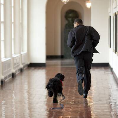 Osterfreuden in Washington