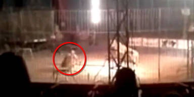 Tiger tötet Zirkus-Dompteur in Mexiko