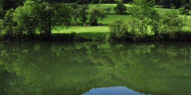 Mann ertrinkt bei Polterabend in der Donau