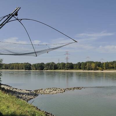 Totes Baby in Donau gefunden