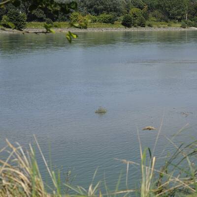 Totes Baby in Donau gefunden