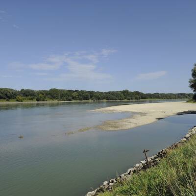 Totes Baby in Donau gefunden