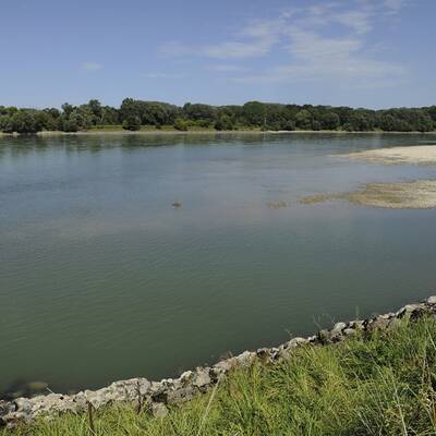 Totes Baby in Donau gefunden
