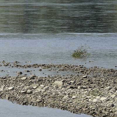 Totes Baby in Donau gefunden