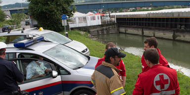 Mini in Donau gestürzt: Lenker tot