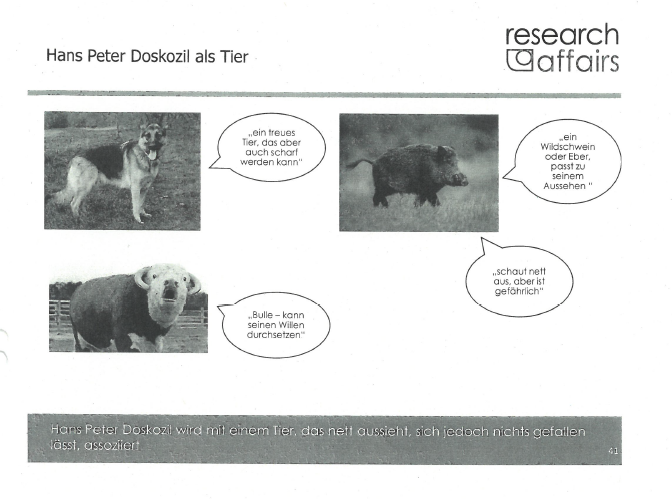 155.000-Euro-Studie: Kurz ist Pfau