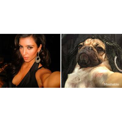 Doug the Pug posiert als Kim Kardashian  