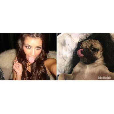 Doug the Pug posiert als Kim Kardashian  