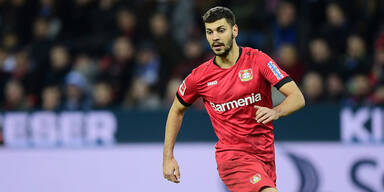 Dragovic: 'Es geht ums &Uuml;berleben'