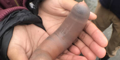 Tausende 'Penisfische' an K&uuml;ste angesp&uuml;lt