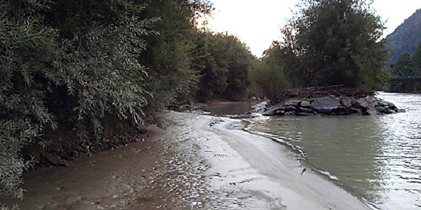 Drau: Strand, an dem Kinder ein Krokodil entdeckt haben wollen