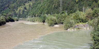 Alle jagen Kärntner Krokodil