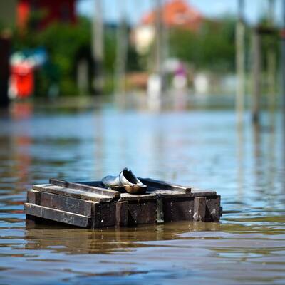 Deutschland versinkt im Hochwasser