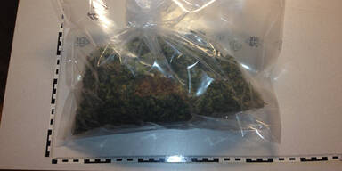 Wiener Polizei zerschlägt Drogenring