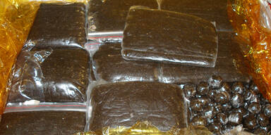 Spürhunde decken Drogenschmuggel auf