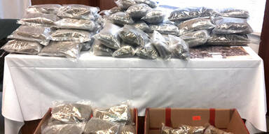 Drogen-Hotspots: 99 Verhaftungen seit 1. Juni