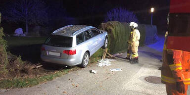 Drogen-Lenker crasht in Thujen-Hecke