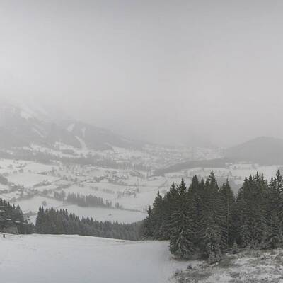 Blick über den Irrsee (OÖ) 