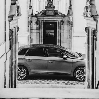 Studie DS Divine (2014)