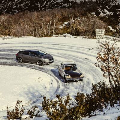 Studie DS Divine (2014)