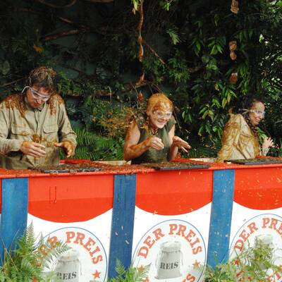 Tag 9 im Dschungelcamp