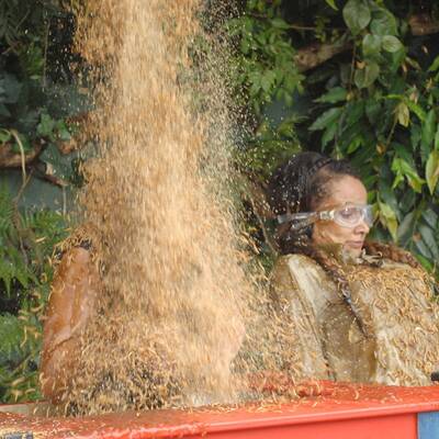 Tag 9 im Dschungelcamp