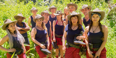 Dschungelcamp 2018 alle