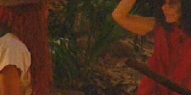 Im Dschungel heißt es ab jetzt: Ösis gegen Piefke!