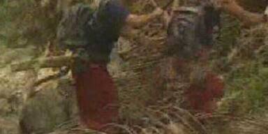 Im Dschungel heißt es ab jetzt: Ösis gegen Piefke!