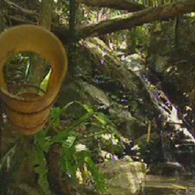 Mausi auf Schatzsuche