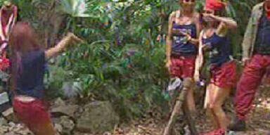 Für Michael ist das Dschungelabenteuer vorbei