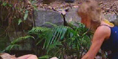 Für Michael ist das Dschungelabenteuer vorbei