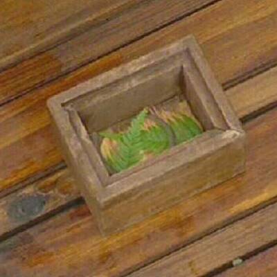 Peters vierte Dschungelprüfung